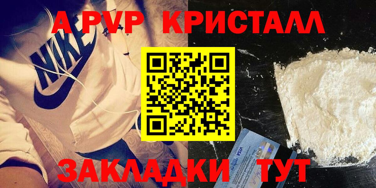 как найти   А ПВП СК  A-PVP крисы CK  Alfa_PVP  Вход с VPN  Ноябрьск  Alfa_PVP СК КРИС 