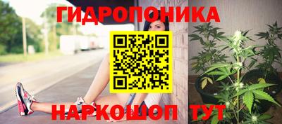 спиды Гатчина