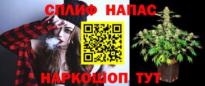 герыч Гагарин