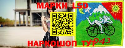 спиды Гатчина