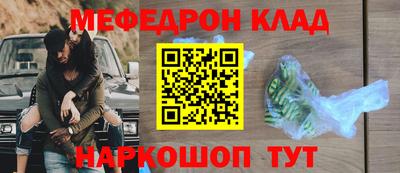 спиды Гатчина