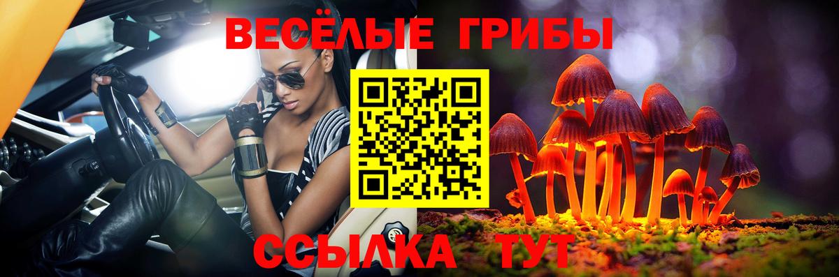 Ноябрьск  Псилоцибиновые грибы GOLDEN TEACHER  Галлюциногенные грибы мухоморы  Вход с VPN 