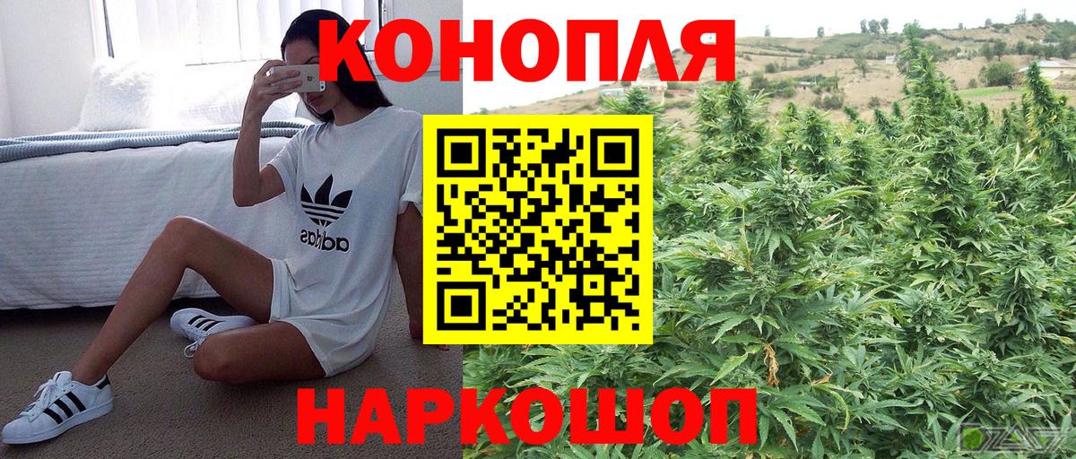 Альфа ПВП Ноябрьск
